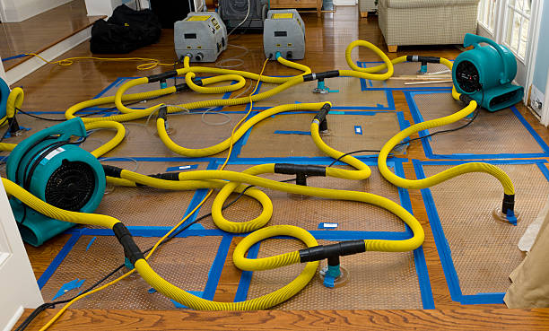 Professional Water Extraction technician working in Denton, NE